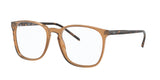 Ray Ban 5387F Eyeglasses