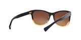 1444T5 - Brown - Brown Gradient Polarized