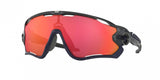 Oakley Jawbreaker 9290 Sunglasses