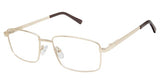 New Globe D360 Eyeglasses