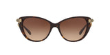 548574 - Dark Tortoise - Brown Gradient