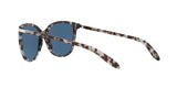 169280 - Blue Tortoise - Blue Solid