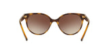 W65613 - Havana - Brown Gradient