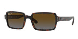 Ray Ban Benji 2189 Sunglasses