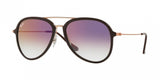 Ray Ban 4298 Sunglasses