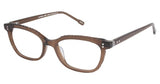 Kliik K560 Eyeglasses