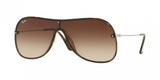 Ray Ban 4311N Sunglasses