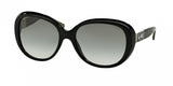 Coach L094 Carter 8120 Sunglasses