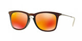 Ray Ban 4221F Sunglasses