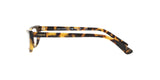 2605 - Brown Yellow Tortoise