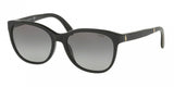 Polo 4117 Sunglasses