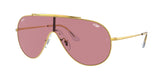 Ray Ban Wings 3597 Sunglasses