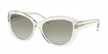 Coach 8162F Sunglasses