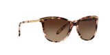 146313 - Havana - Dark Brown Gradient