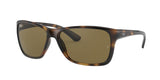 Ray Ban 4331 Sunglasses