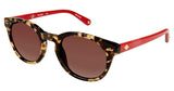 Sperry SPMARBLEHEAD Sunglasses