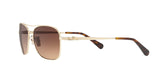 932213 - Light Gold - Brown Gradient