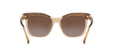 1688T5 - Beige - Brown Gradient Polarized