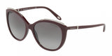 Tiffany 4134B Sunglasses