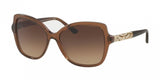 Bvlgari 8174B Sunglasses