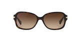 522713 - Havana - Dark Brown Gradient