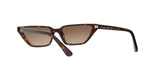 W65613 - Dark Havana - Brown Gradient