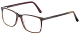 Jaguar 31025 Eyeglasses