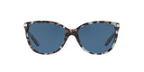 169280 - Blue Tortoise - Blue Solid