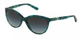 Dolce & Gabbana Iconic Logo 4171PM Sunglasses