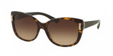 Bvlgari 8170F Sunglasses