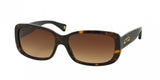 Coach 8042 Sunglasses