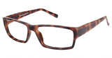 New Globe FA90 Eyeglasses