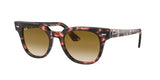 Ray Ban Meteor 2168 Sunglasses