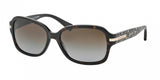 Coach L082 Amber 8105 Sunglasses