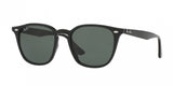 Ray Ban 4258F Sunglasses