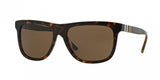 Burberry 4201F Sunglasses