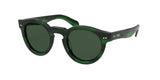 Polo 4165 Sunglasses