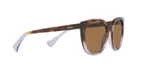 573683 - Dark Brown Polar