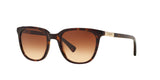 137813 - Havana - Brown Gradient