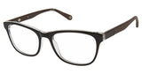 Sperry SPCELESTE Eyeglasses