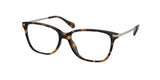 Michael Kors Terni 4079U Eyeglasses