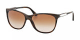 Ralph Lauren Western Evolution 8120 Sunglasses