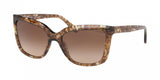 Coach L1059 8261 Sunglasses