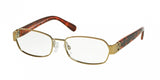 Michael Kors Amagansett 7001 Eyeglasses