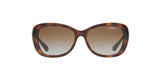 W656T5 - Havana - Polar Brown Gradient