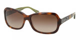 Coach 8016 Sunglasses