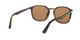107953 - Tortoise Green Borown - Brown + Ar