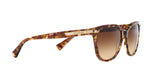 528713 - Light Brown - Brown Gradient