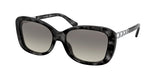 Coach L1131 8286F Sunglasses