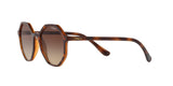 238613 - Brown Gradient